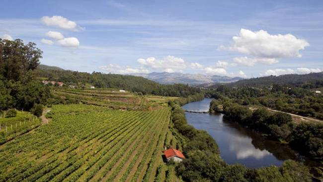 Vinícola da região dos Vinhos Verdes