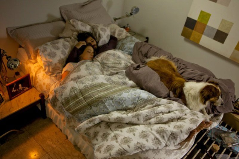 Mato Sem Cachorro: Zoé e Deco se apaixonam e junto com Guto formam uma família Mato Sem Cachorro: Zoé e Deco se apaixonam e junto com Guto formam uma família