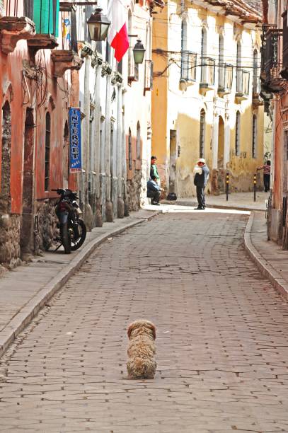 O retorno de Aquiles (1964):óleo sobre tela O retorno de Aquiles (1964):óleo sobre tela