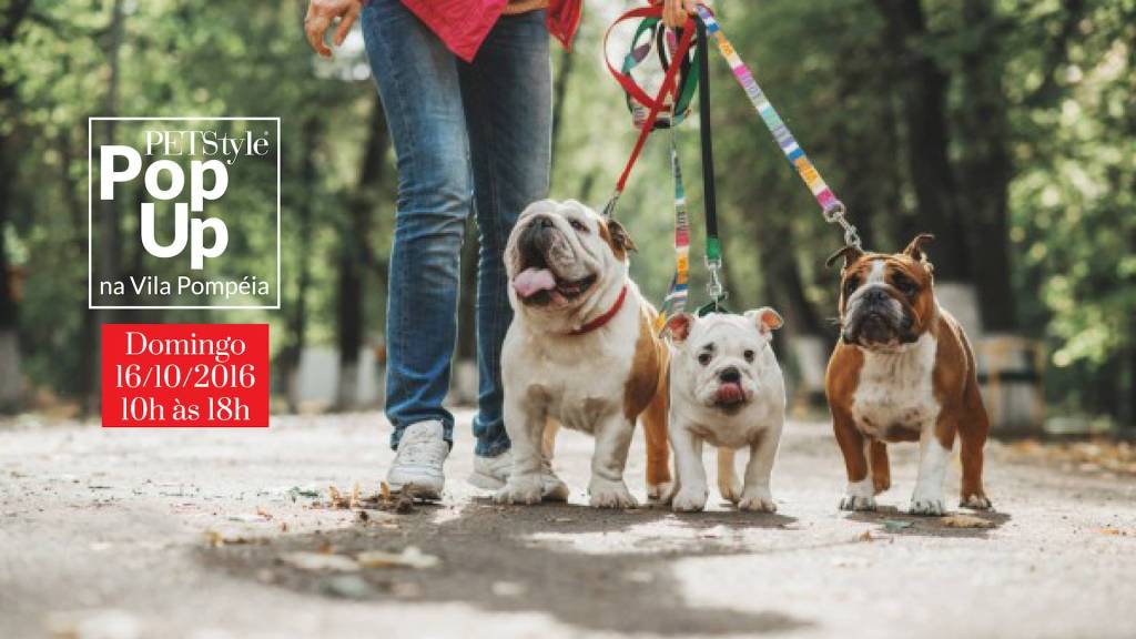 Praça de São Paulo terá parque de diversões canino no domingo (16)