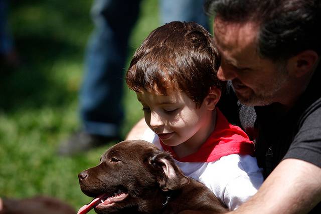 Sesi-SP doa nove cães-guia para deficientes visuais
