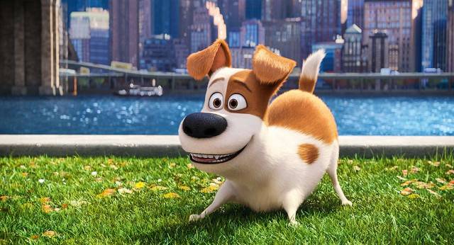 Lançamento do DVD de ‘Pets’ teve diversas atividades para os fãs