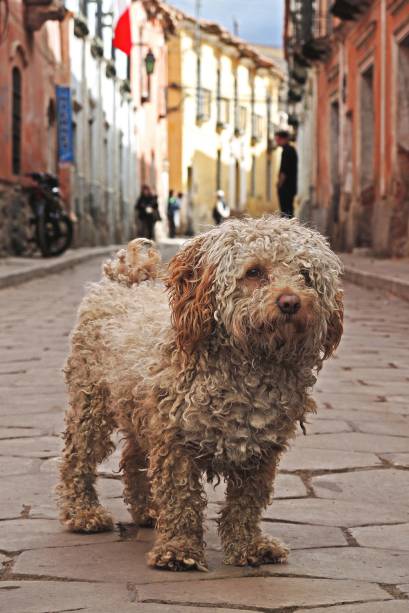 Helen Hunt, indicada ao Oscar de melhor atriz coadjuvante: ela vive uma terapeuta sexual em As Sessões Helen Hunt, indicada ao Oscar de melhor atriz coadjuvante: ela vive uma terapeuta sexual em As Sessões