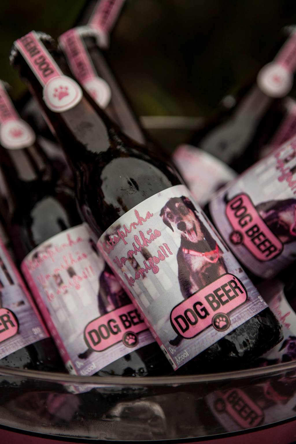 Confira fotos da festa de Estopinha em comemoração à marca de 1 milhão de fãs no Facebook