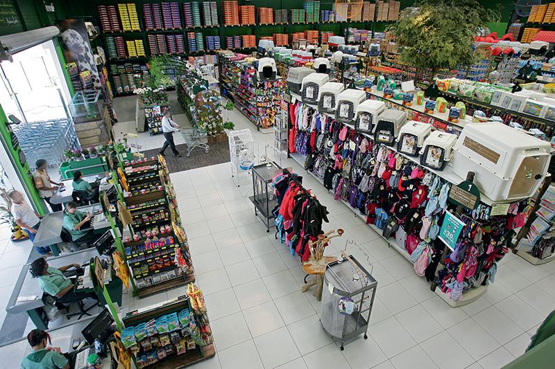 Cobasi inaugura centro de adoção de gatos na Rua Augusta