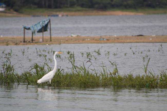 Guarapiranga