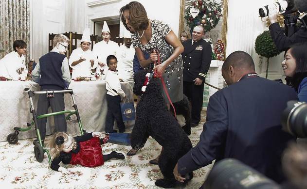 Cachorro do presidente Barack Obama derruba criança durante evento