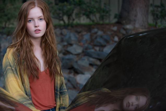 Animais Noturnos Animais Noturnos