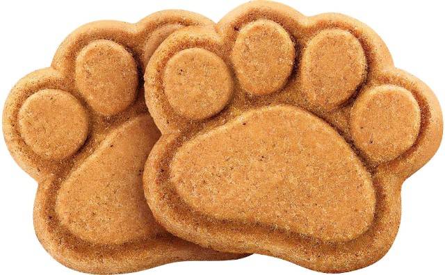 Marca de ração PremieR pet inaugura fábrica de petiscos para cães