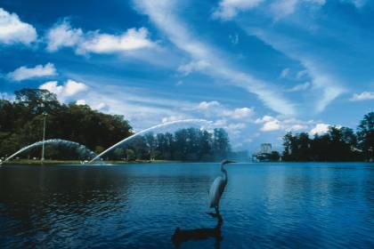 parque-do-ibirapuera.jpeg Parque do Ibirapuera