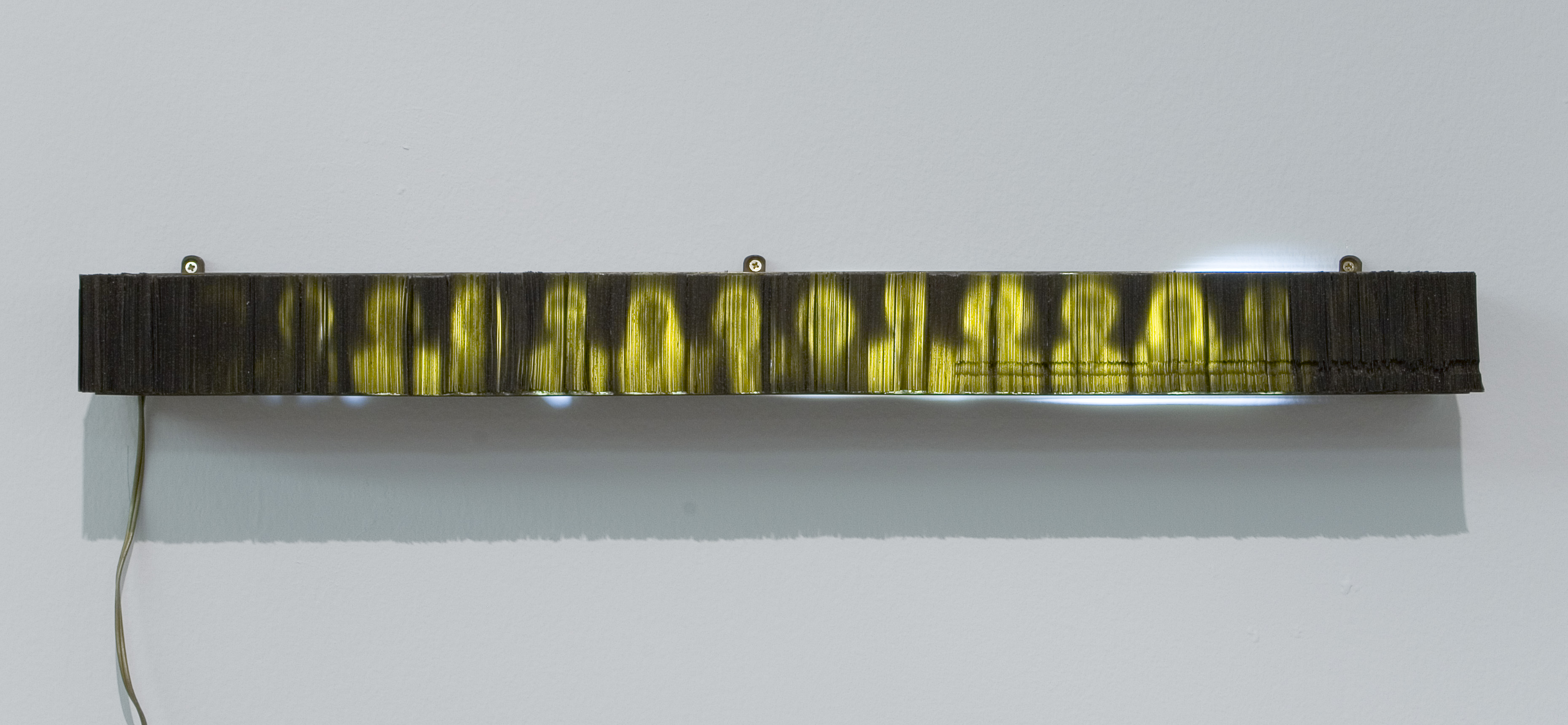 Amnésia (1991), de Rosângela Rennó