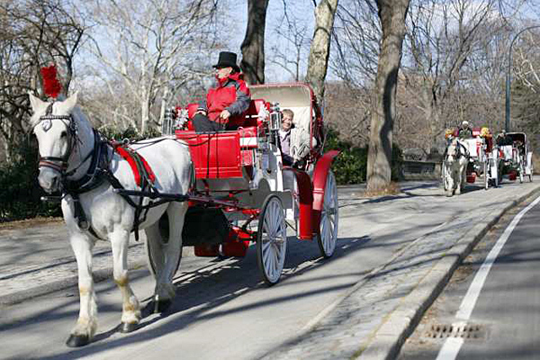Prefeito de Nova York quer proibir carruagens puxadas por cavalos de circular no Central Park