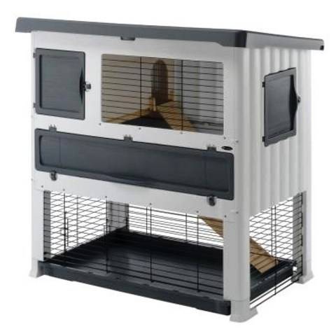 E-commerce Coelhândia tem produtos curiosos para coelhos