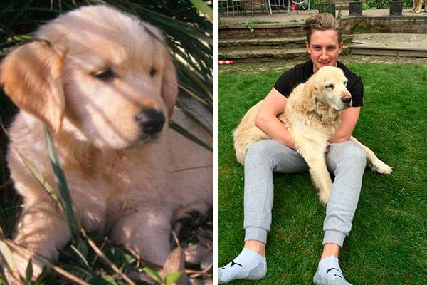 A história deste rapaz e de seu cachorrinho com câncer está comovendo a internet