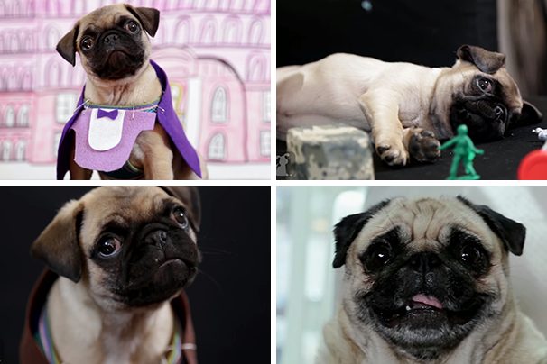 Vídeo mostra como seriam as roupas das princesas Disney se elas respeitassem o período histórico que representam