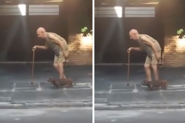 Em vídeo comovente, cachorrinho caminha lentamente para acompanhar o dono em passeio