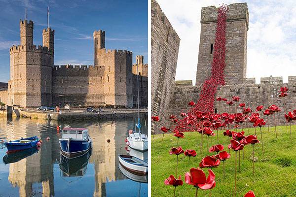 Por que este castelo no País de Gales foi enfeitado com mais de 6 000 flores vermelhas? 