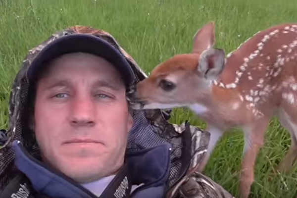 Filhote de cervo se recusa a deixar homem que salvou sua vida em vídeo adorável