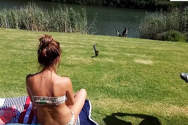Garota reage de maneira imprevisível após ser “atacada” por uma cobra