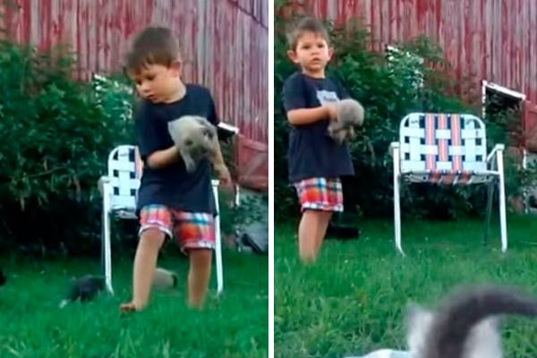 Este menino faz todo o esforço do mundo para cuidar de uma ninhada de gatinhos em vídeo fofo