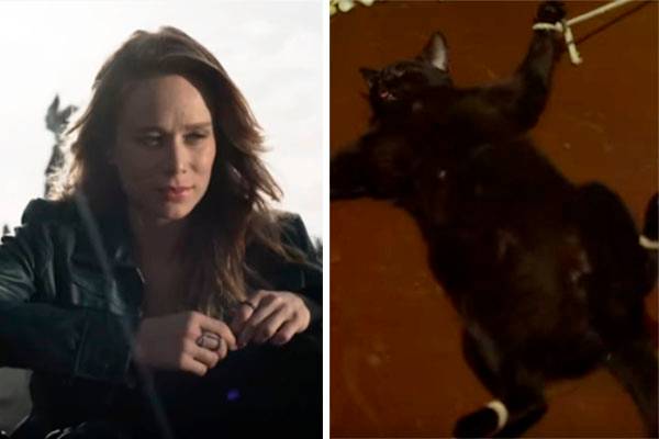 Nova série da Rede Globo, “Supermax” provoca polêmica ao exibir cena de tortura animal