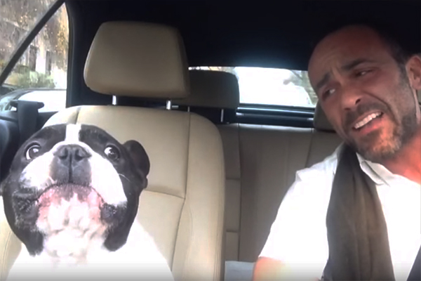 Buldogue francês e seu dono fazem dueto fofo ao som de Rihanna