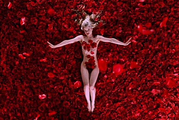 Fotógrafa se inspira em cena de ‘Beleza Americana’ para homenagear mulheres reais