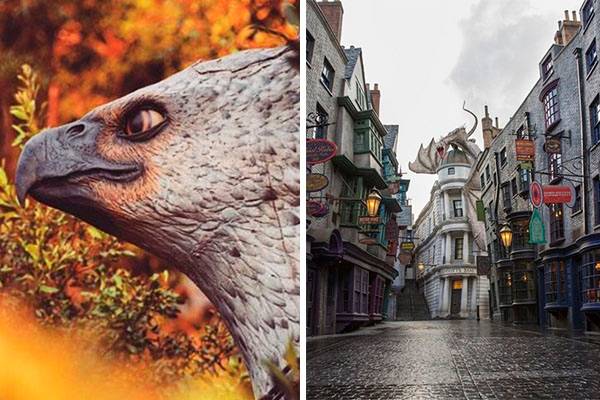 Universal Orlando Resort promove caça ao tesouro inspirada em “Animais Fantásticos e Onde Habitam”