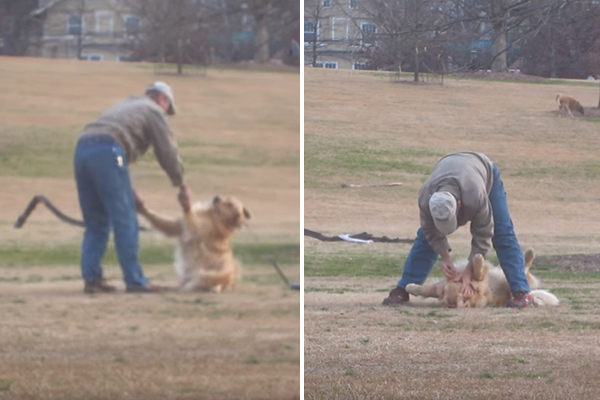 Cachorrinho aposta em tática diferente para convencer seu dono a ficar mais tempo no parque