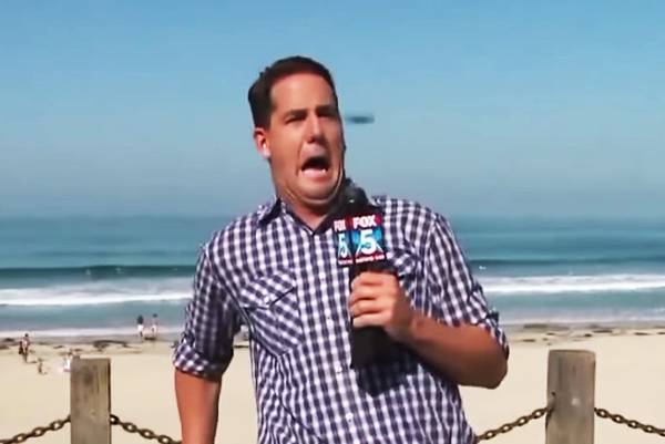Repórter é atacado por inseto gigante, não consegue disfarçar o medo e surta ao vivo