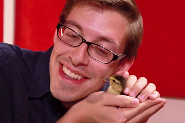 Homens grandes seguram bebê patinho pela primeira vez em vídeo adorável