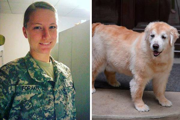 Vídeo registra reencontro entre jovem e sua golden retriever de 13 anos de idade