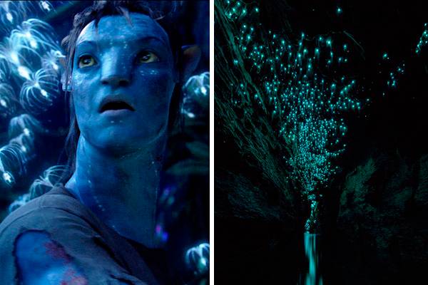 Esta incrível caverna cintilante na Nova Zelândia parece ter saído direto do filme “Avatar”