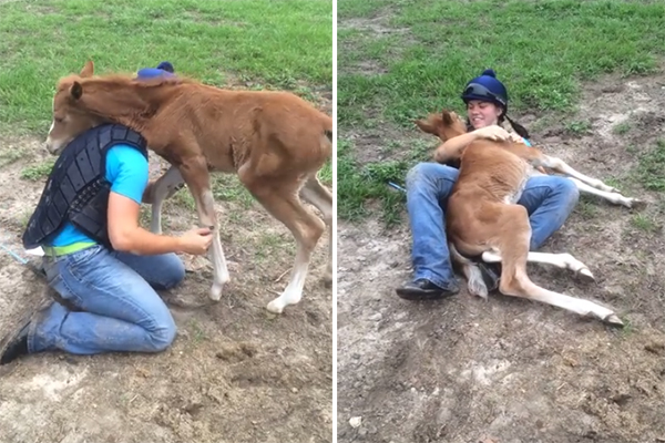 Cavalinho adora abraçar a sua dona em vídeo fofo
