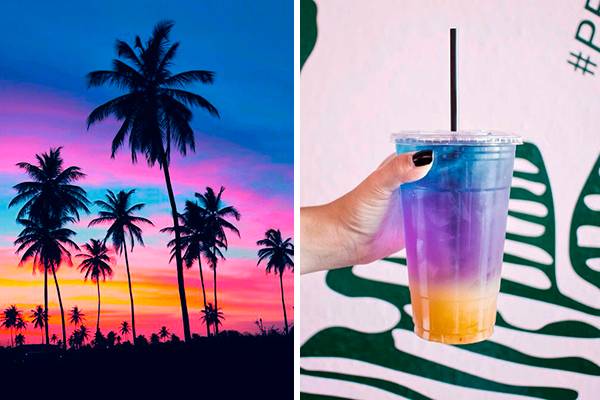 Conheça o “chá do pôr do sol”, novo refresco que está levando os internautas à loucura