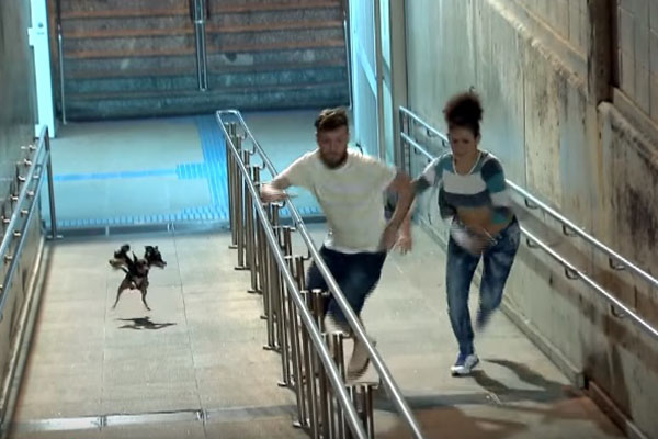 Paulistanos são perseguidos por cachorro de três cabeças em pegadinha do “Programa Silvio Santos”