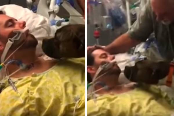 No hospital, mascote deu “último adeus” ao dono de 33 anos que morreu após hemorragia cerebral