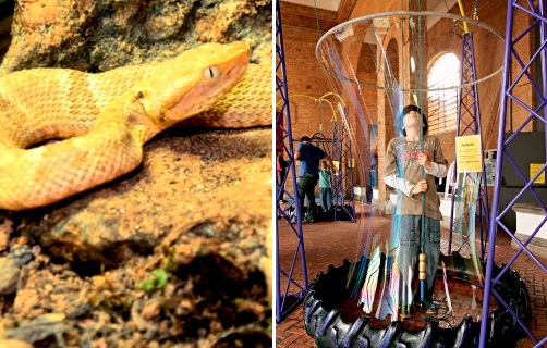 Cinco passeios para a garotada aprender e se divertir