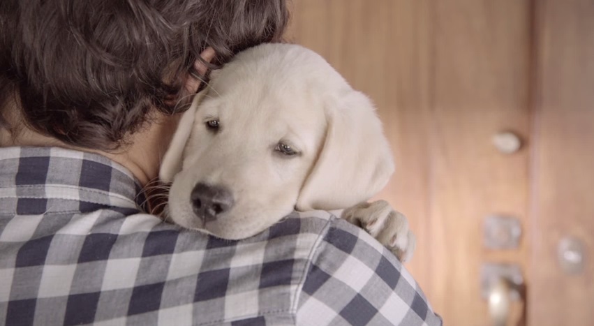 Amizade entre cachorro e seu dono surpreende em comercial fofo com uma bela mensagem; assista
