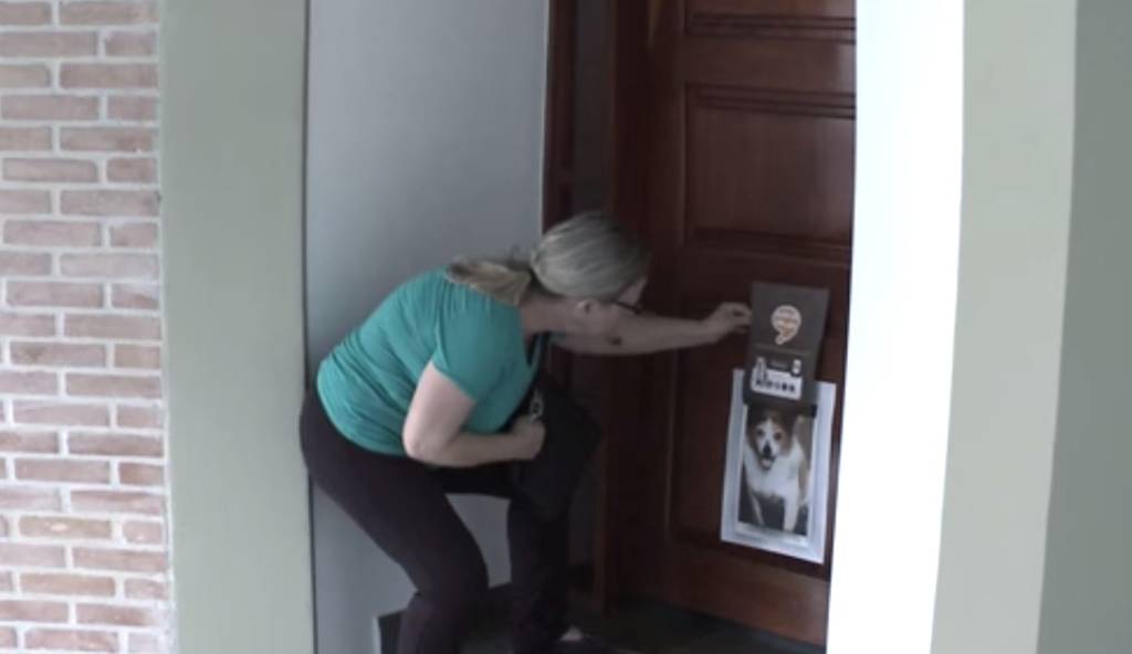 Para incentivar a adoção, grupo cola pôsteres que imitam portinhas de cachorro na casa de 100 estranhos
