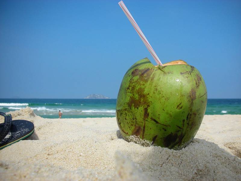 O coco pode ser usado integralmente na sua dieta: descubra pontos positivos e negativos de cada uma de suas partes