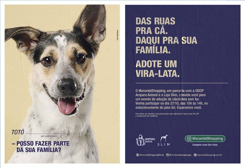 Duas feiras de adoção que rolam neste final de semana