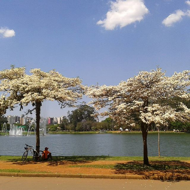 Vote nos finalistas da missão: “Primavera no parque”