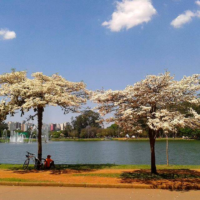 Vote nos finalistas da missão: “Primavera no parque”