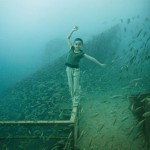 Fotos embaixo da &aacute;gua