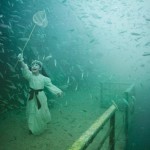 Fotos embaixo da &aacute;gua