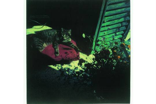 Polaroide do cineasta russo Andrei Tarkóvski mostra a vida tranquila no interior da Itália