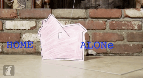 anigif_enhanced-buzz-10613-1386330966-0