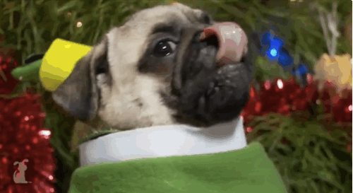 anigif_enhanced-buzz-26738-1387372902-11