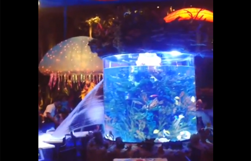 Aquário gigante quebra e assusta clientes em restaurante da Disney; assista ao vídeo